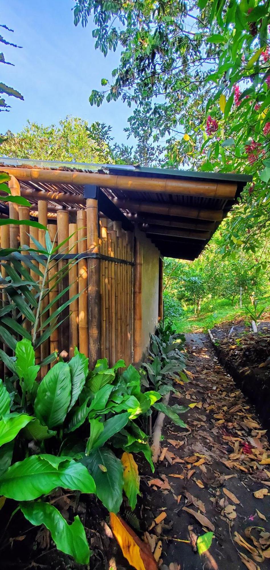 Ecohotel Alma Calarcá Екстериор снимка