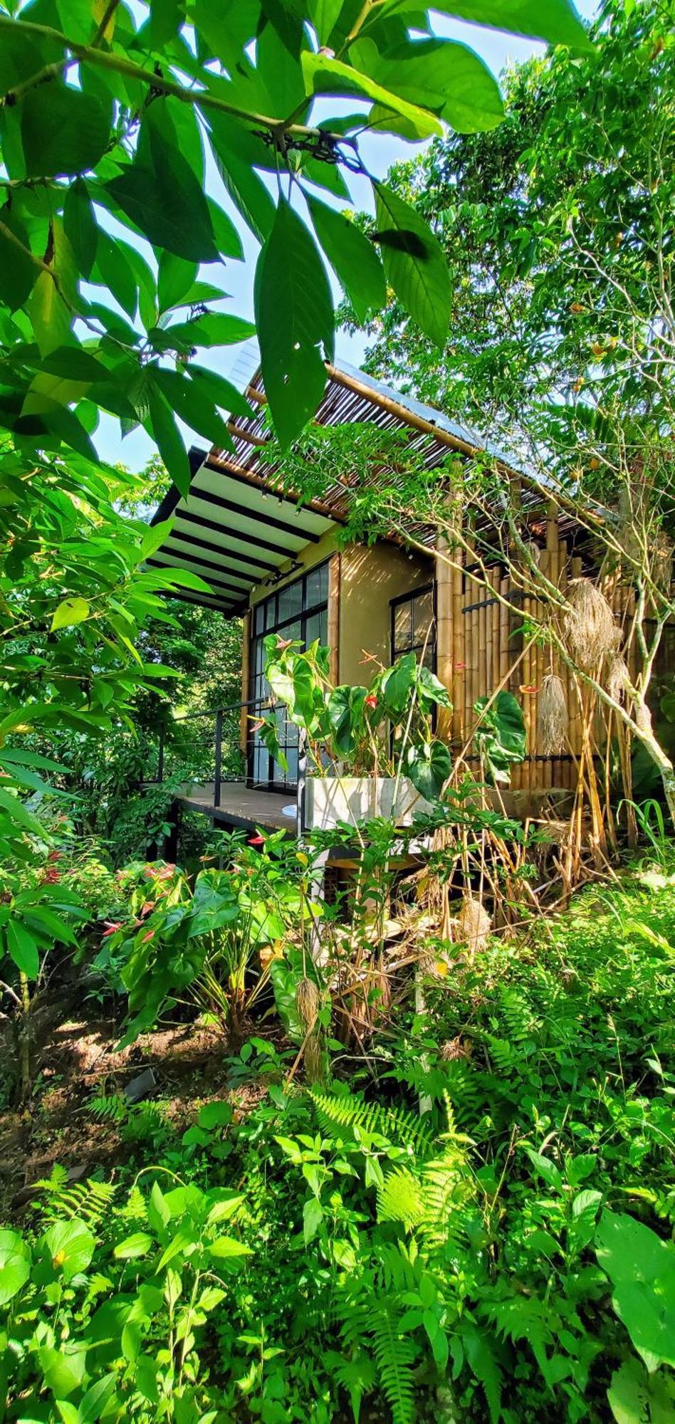 Ecohotel Alma Calarcá Екстериор снимка