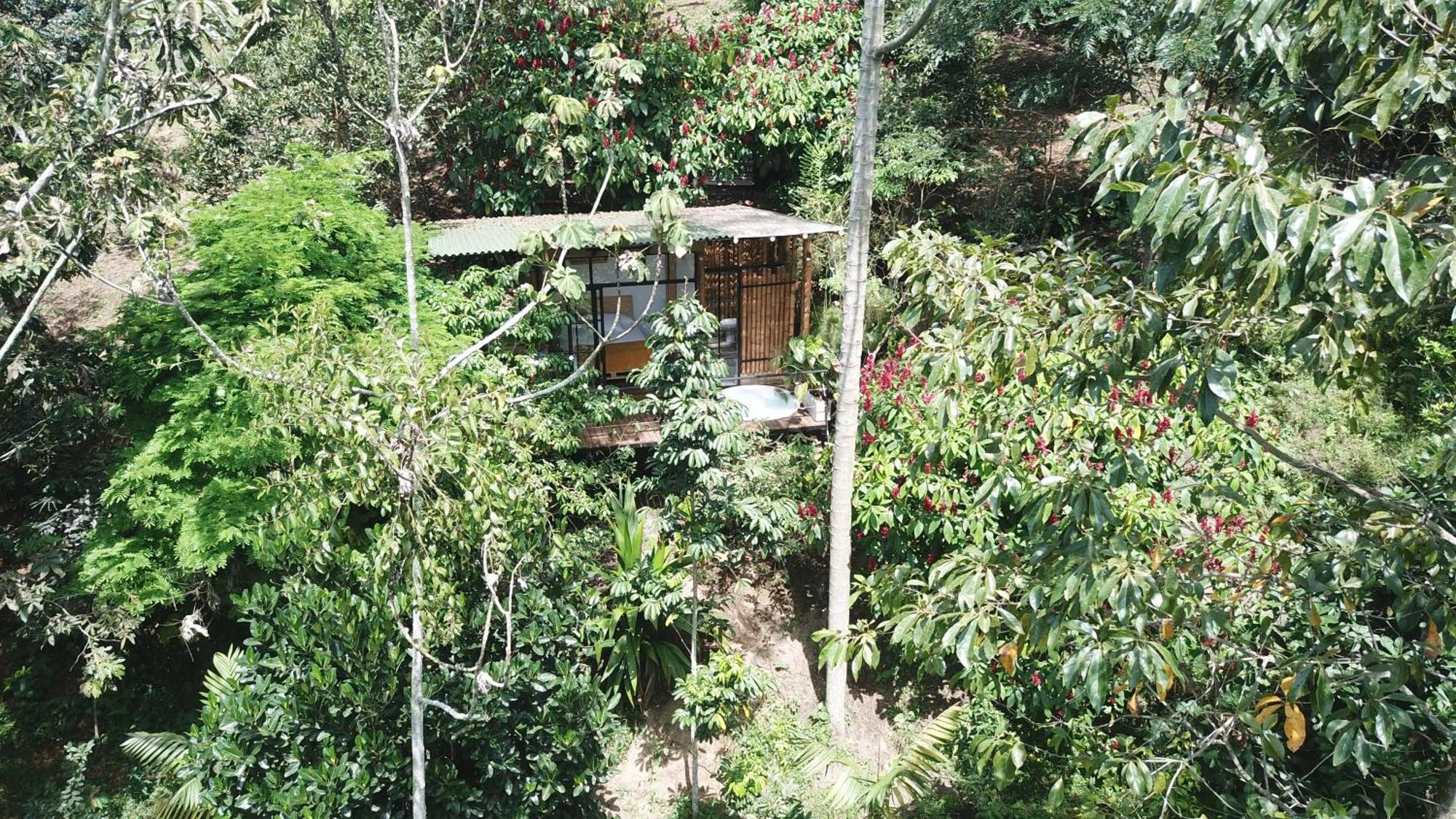Ecohotel Alma Calarcá Екстериор снимка